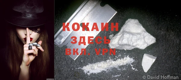 гидропоника Богданович